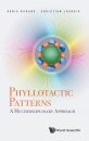 Phyllotactic Patterns: A Multidisciplinary Approach