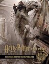 H P: The Film Vault - Vol 3 The Sorcerer'S Stone