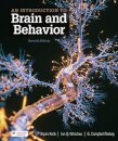An Introduction to Brain and Behavior