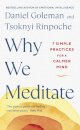 Why We Meditate