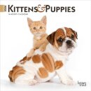 Kittens & Puppies 2026 Mini 7x7 Calendar