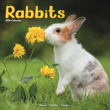 Rabbits   Calendar 2026  Square Animal Wall Calendar - 16 Month