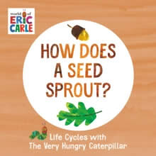 How Does A Seed Sprout?