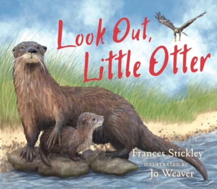 Look Out, Little Otter