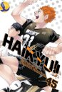 Haikyu!! Vol. 45