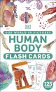 Our World in Pictures Human Body Flash Cards