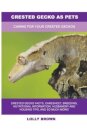 Crested Gecko as Pets