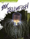 Box Jellyfish