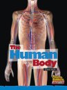 The Human Body