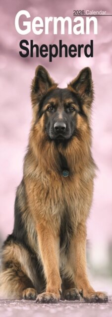 German Shepherd Slim Calendar 2026  Dog Breed Slimline Calendar - 12 Month