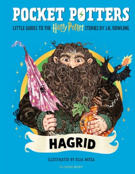 Pocket Potters Hagrid