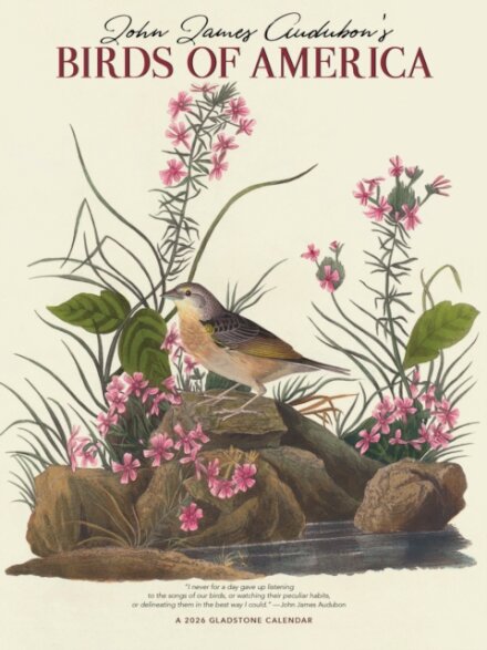 Audubons Birds Of America Deluxe Wall Su