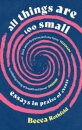 All Things Are Too Small