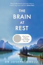 The Brain at Rest