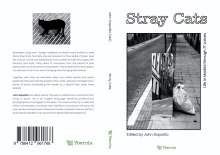 Stray Cats