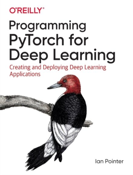 Programming PyTorch for Deep Learning