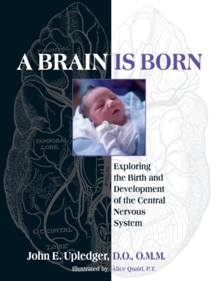A Brain Is Born