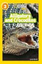 Alligators and Crocodiles