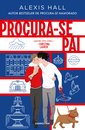 Procura-se Pai