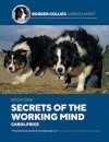 Secrets Of The Working Mind