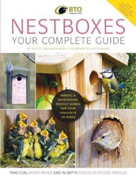 Nestboxes: Your Complete Guide