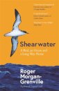 Shearwater
