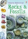Rocks and Fossils