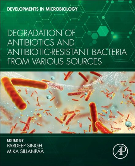 Degradation of Antibiotics and Antibiotic-Resistant Bacteria From Various Sources