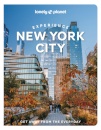 Experience New York City 2