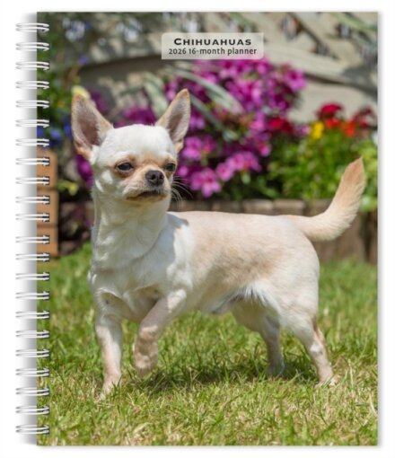 Chihuahuas 2026 Engagement Diary