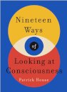 Nineteen Ways of Looking at Consciousness