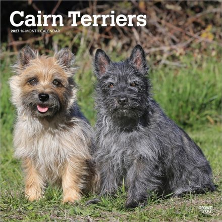 Cairn Terriers 2027 Square Flap