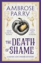 The Death of Shame