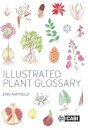 Illustrated Plant Glossary