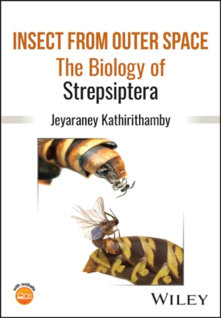 Insect from Outer Space