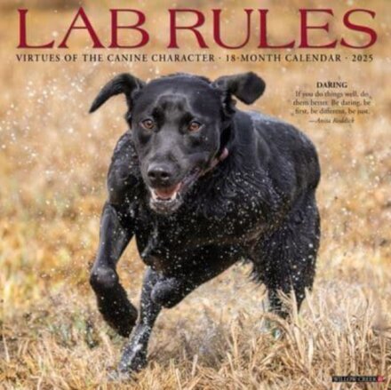 Lab Rules 2025 12 X 12 Wall Calendar