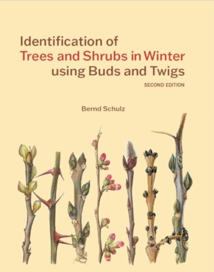 Identification of Trees and Shrubs in Winter using Buds and Twigs
