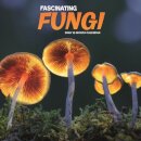 Fascinating Fungi Square Wall Sunday Sta