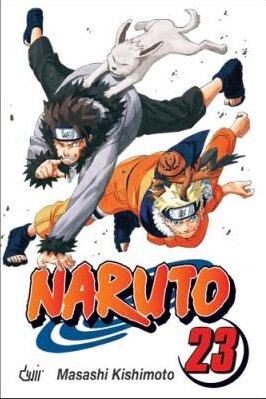 Naruto 23: Contratempos