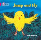 Jump and Fly