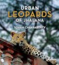 Urban Leopards of Jhalana