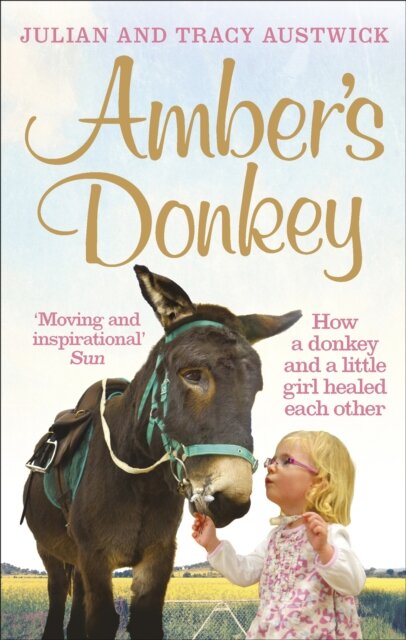 Amber's Donkey