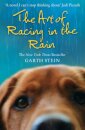 The Art Of Racing In The Rain