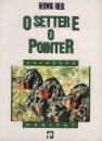 Setter e o Pointer