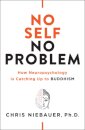 No Self, No Problem