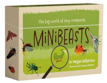 Minibeasts