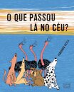 O Que Passou Lá No Céu?