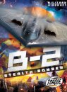 B2 Stealth Bomber