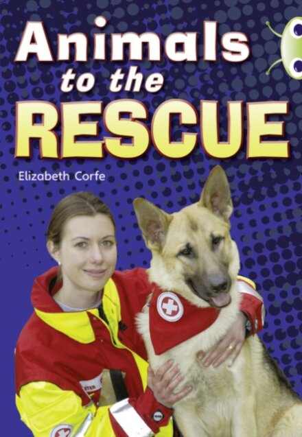 Bug Club Guided Non Fiction Year 2 Gold B Animals to the Rescue
