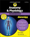 Anatomy & Physiology Workbook For Dummies with Online Practice